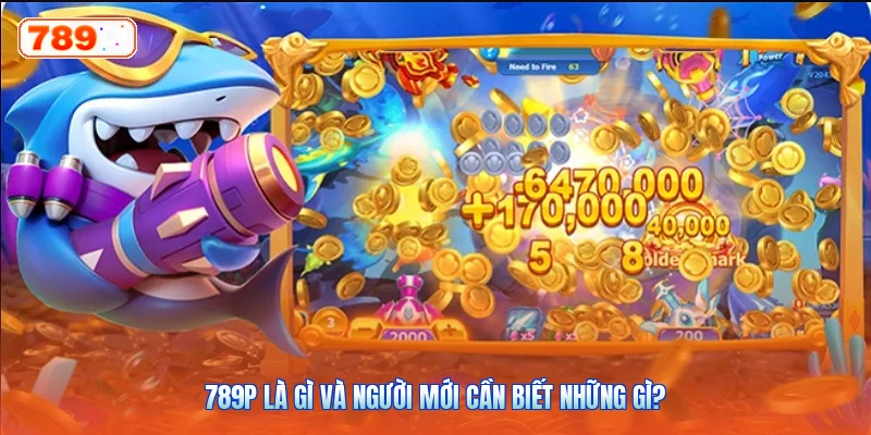 789P Là Gì Và Người Mới Cần Biết Những Gì?