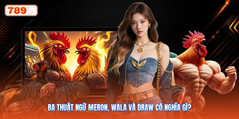 Ba Thuật Ngữ Meron, Wala Và Draw Có Nghĩa Gì?
