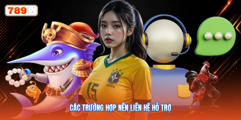 Các Trường Hợp Nên Liên Hệ Hỗ Trợ