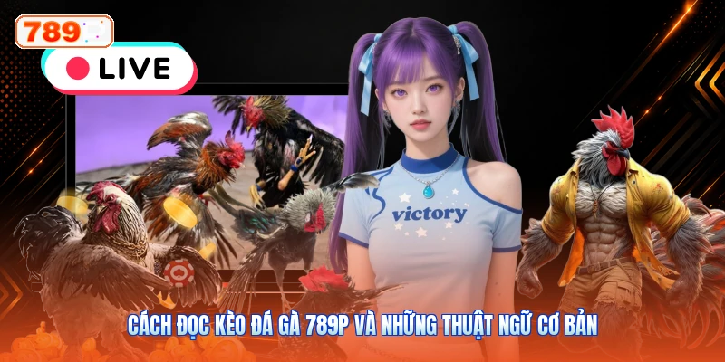 Cách Đọc Kèo Đá Gà 789P Và Những Thuật Ngữ Cơ Bản