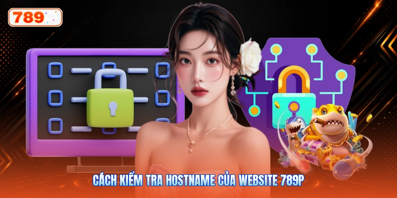 Cách Kiểm Tra Hostname Của Website 789P