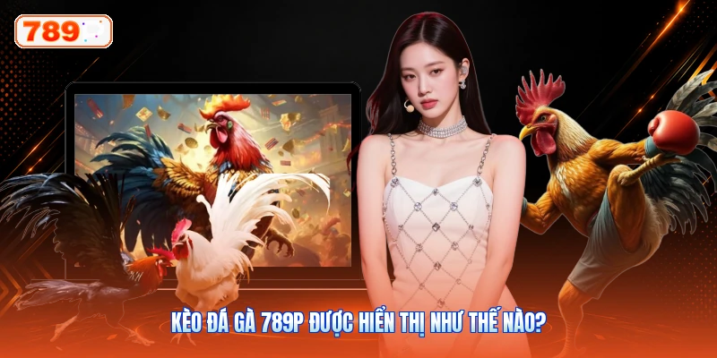 Kèo Đá Gà 789P Được Hiển Thị Như Thế Nào?