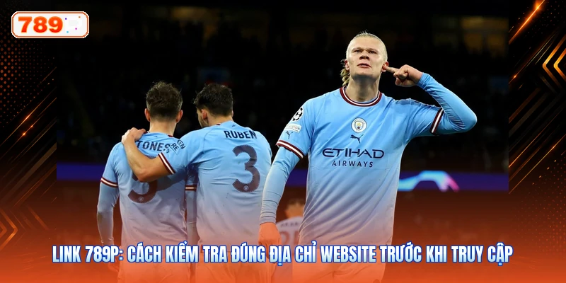 Link 789P: Cách Kiểm Tra Đúng Địa Chỉ Website Trước Khi Truy Cập